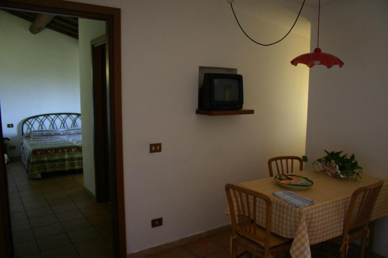 Agriturismo Oliveto Di Geltrude Contessa อเมเลีย ภายนอก รูปภาพ