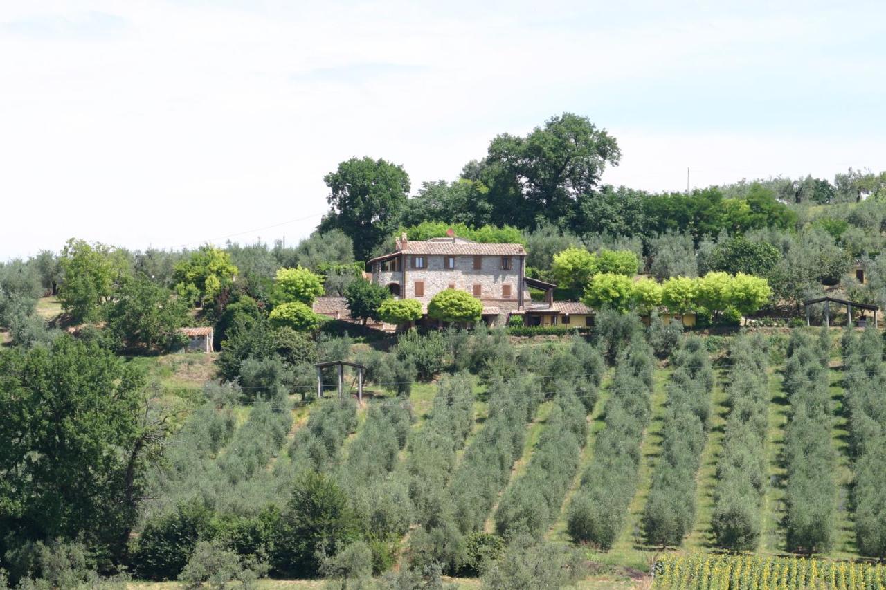 Agriturismo Oliveto Di Geltrude Contessa อเมเลีย ภายนอก รูปภาพ